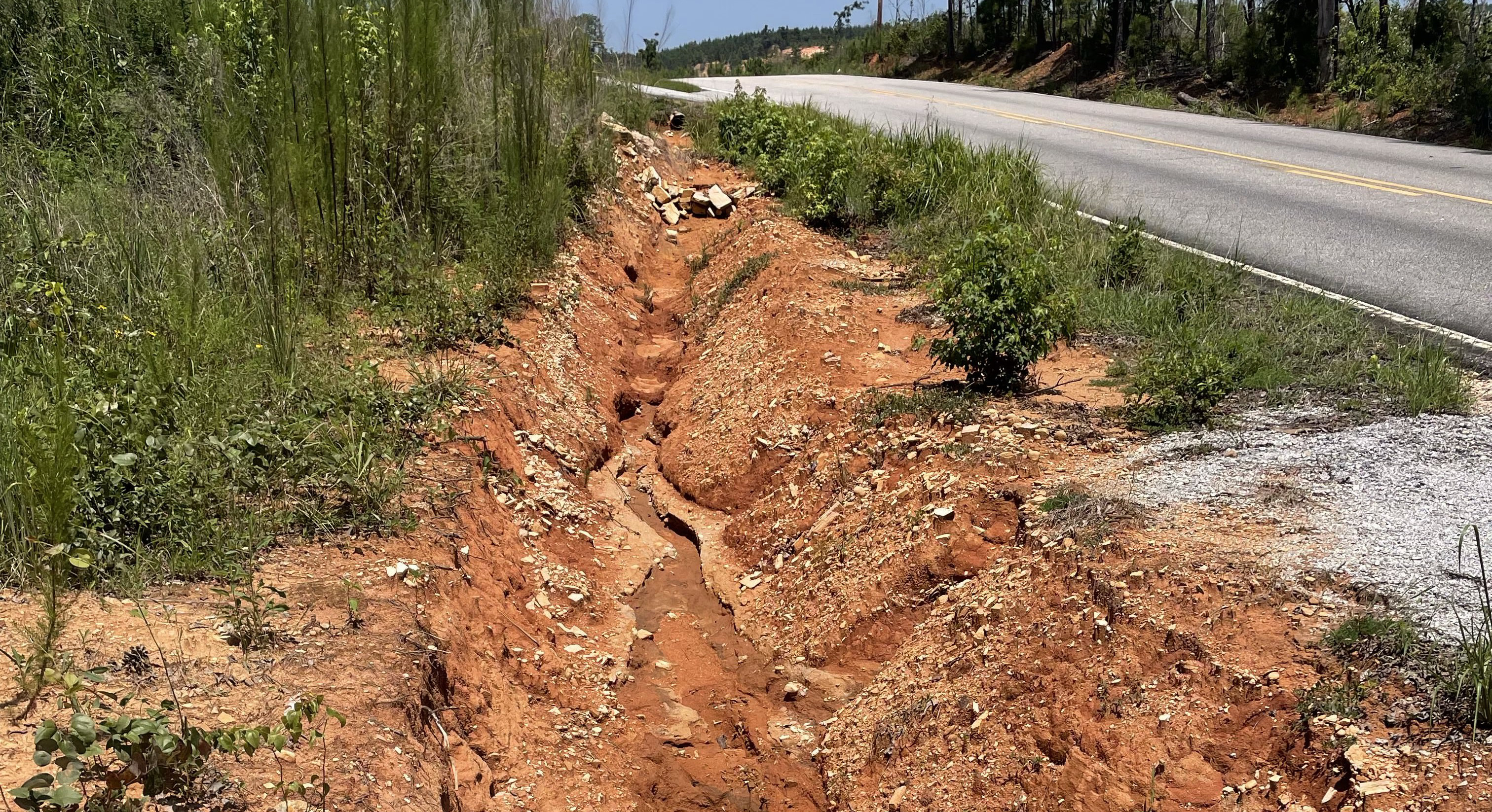 Image of roadside ditch